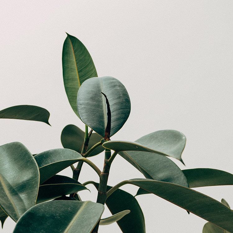 shop landing page block negative small